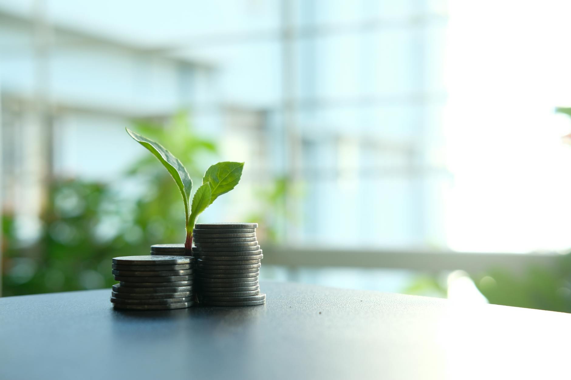 Investor reviewing strong returns from bespoke property deals